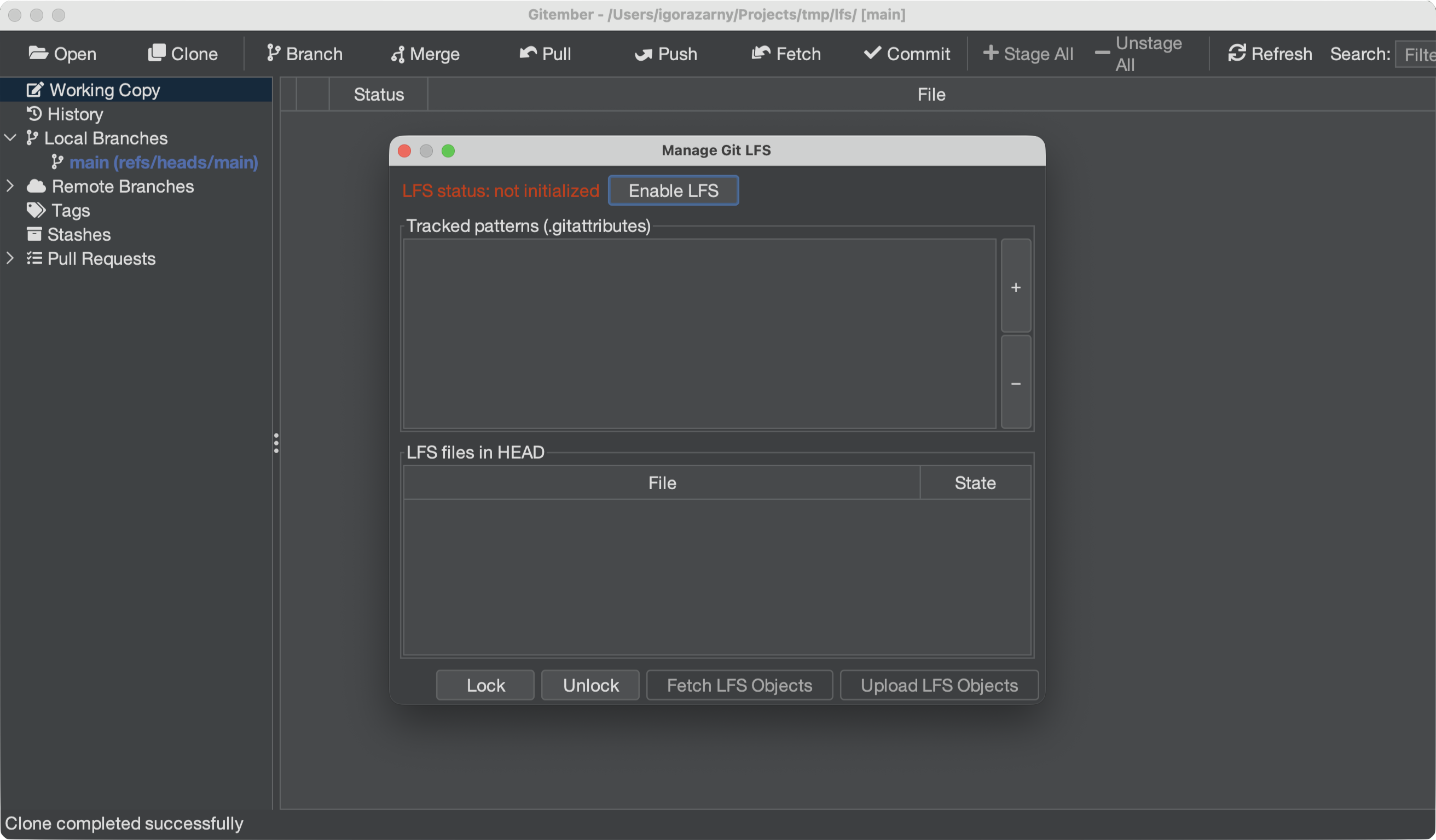 lfs-manage-dialog1.png