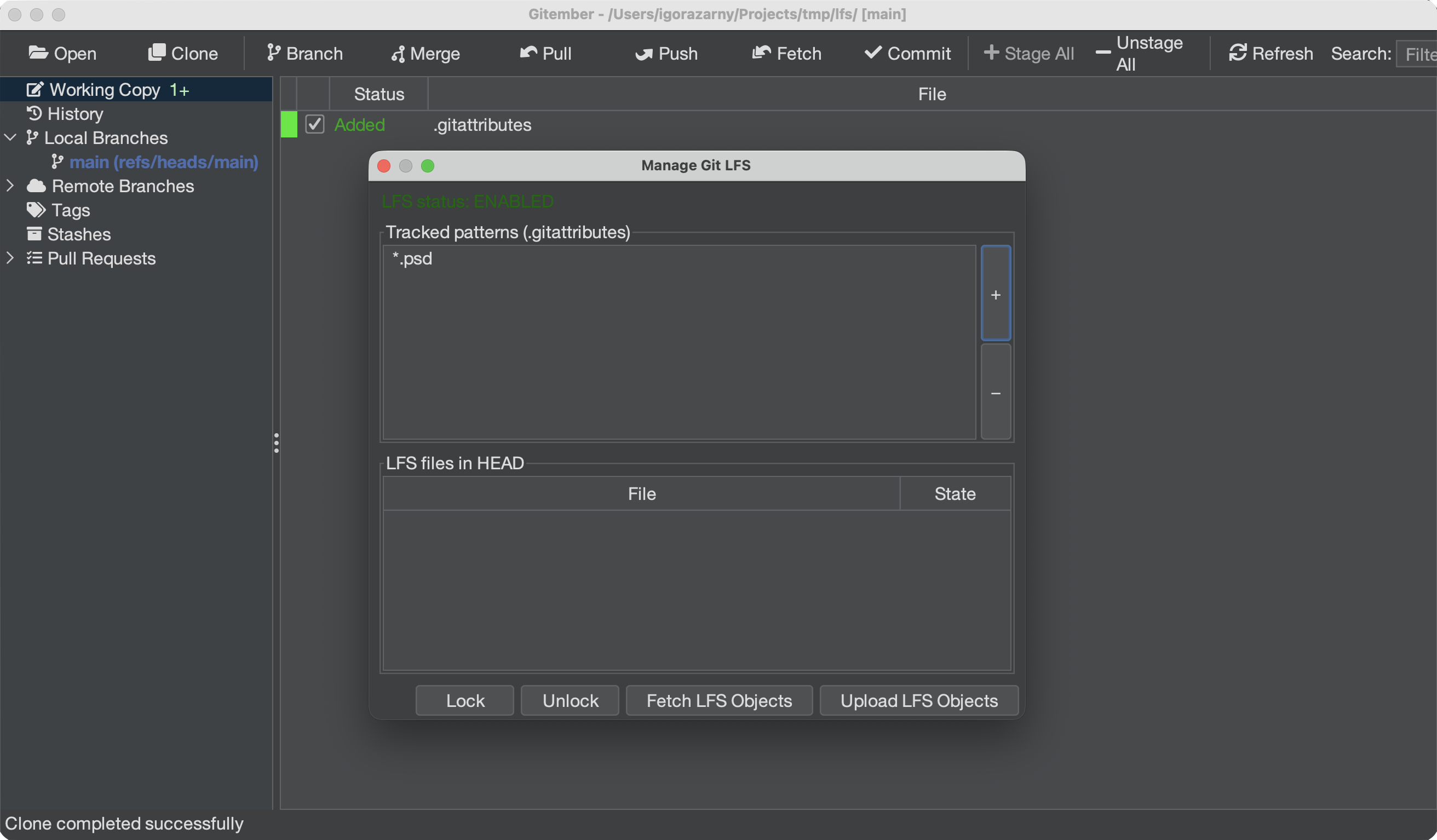 lfs-manage-dialog2.png